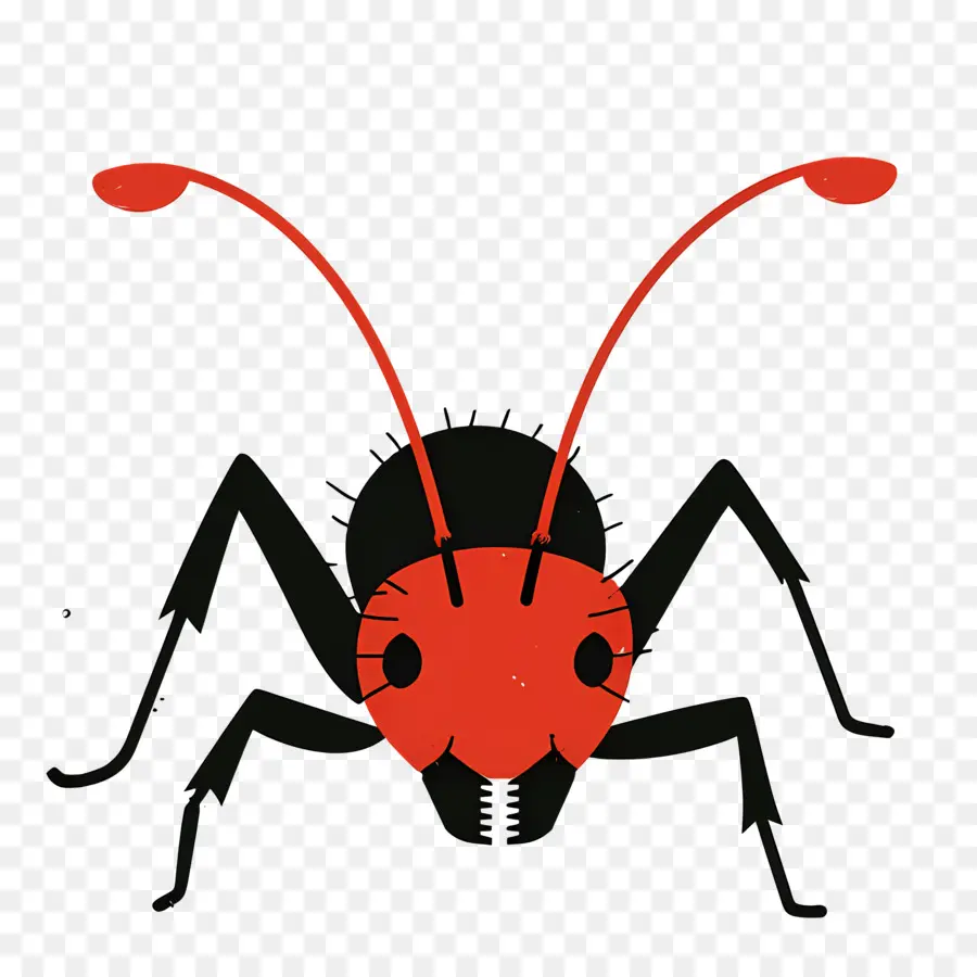 Formiga，Red Ant PNG