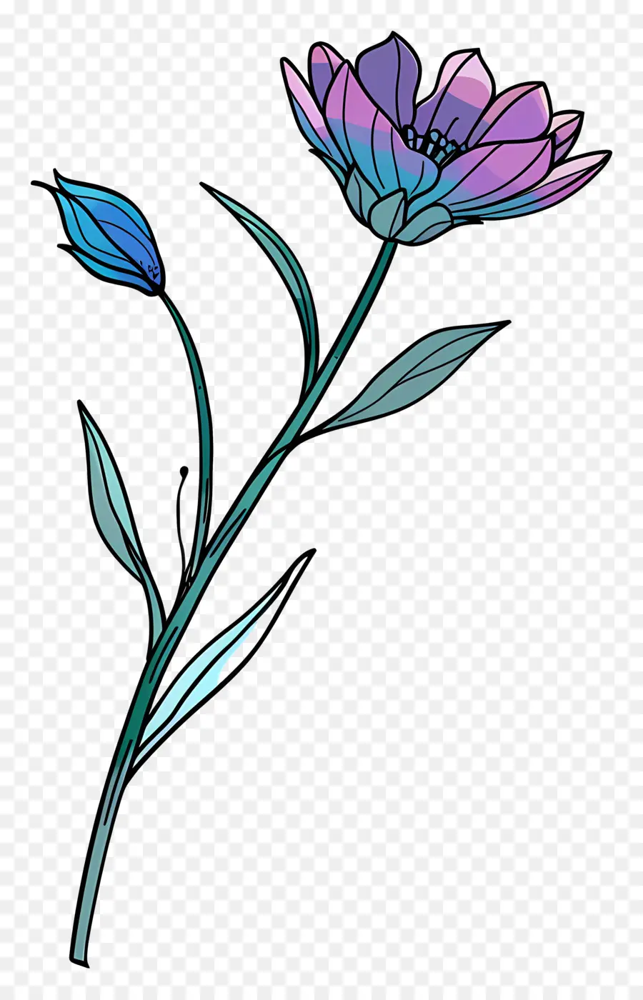 Flor Da Haste，Flor Azul PNG