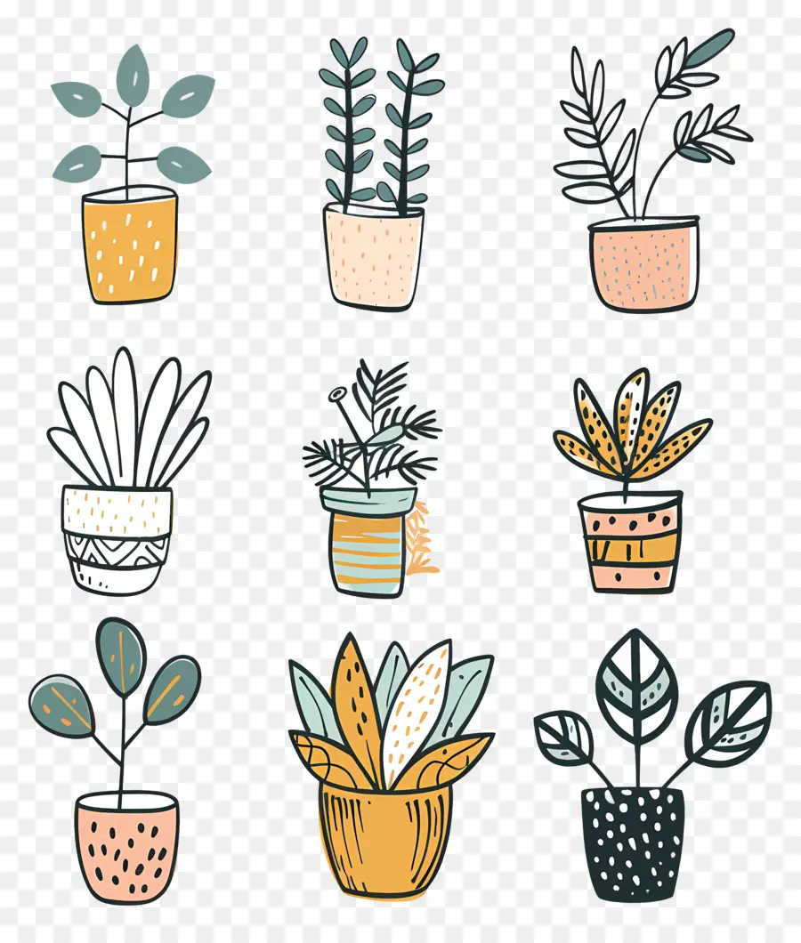 Plantas De Casa Em Vasos，Vasos De Plantas PNG