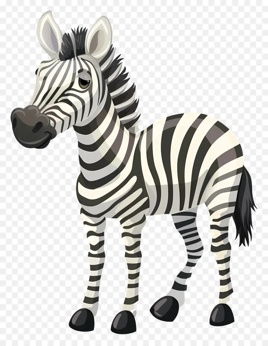 Zebra，A Vida Selvagem PNG