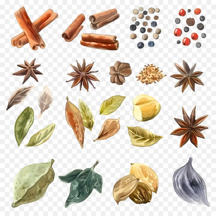 Especiarias，Herbs PNG