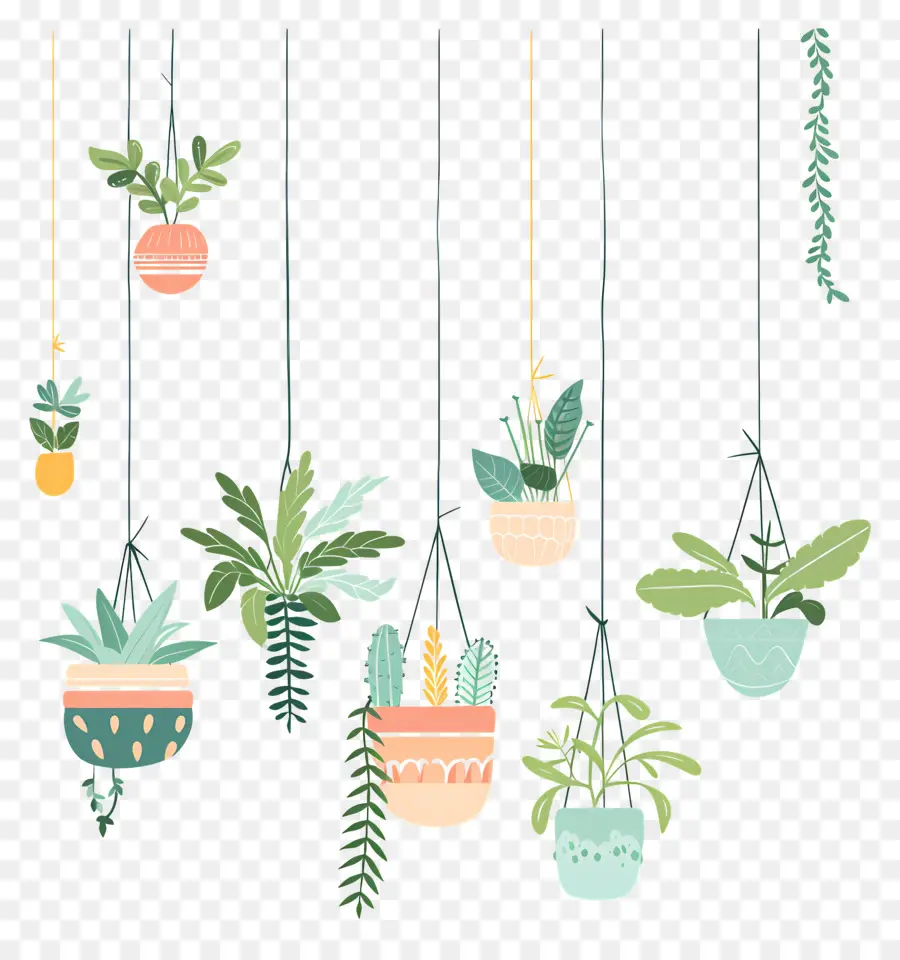 Plantas De Casa Penduradas，Plantas Penduradas PNG