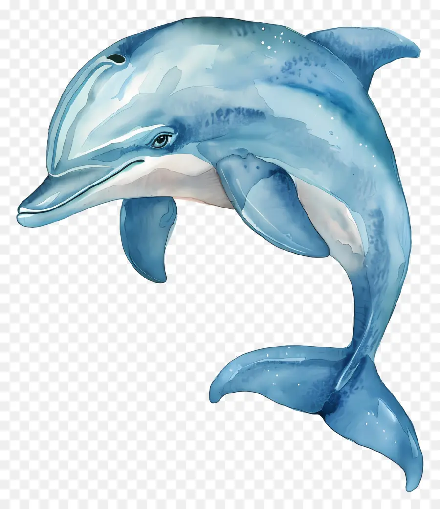 Dolphin，Saltar PNG