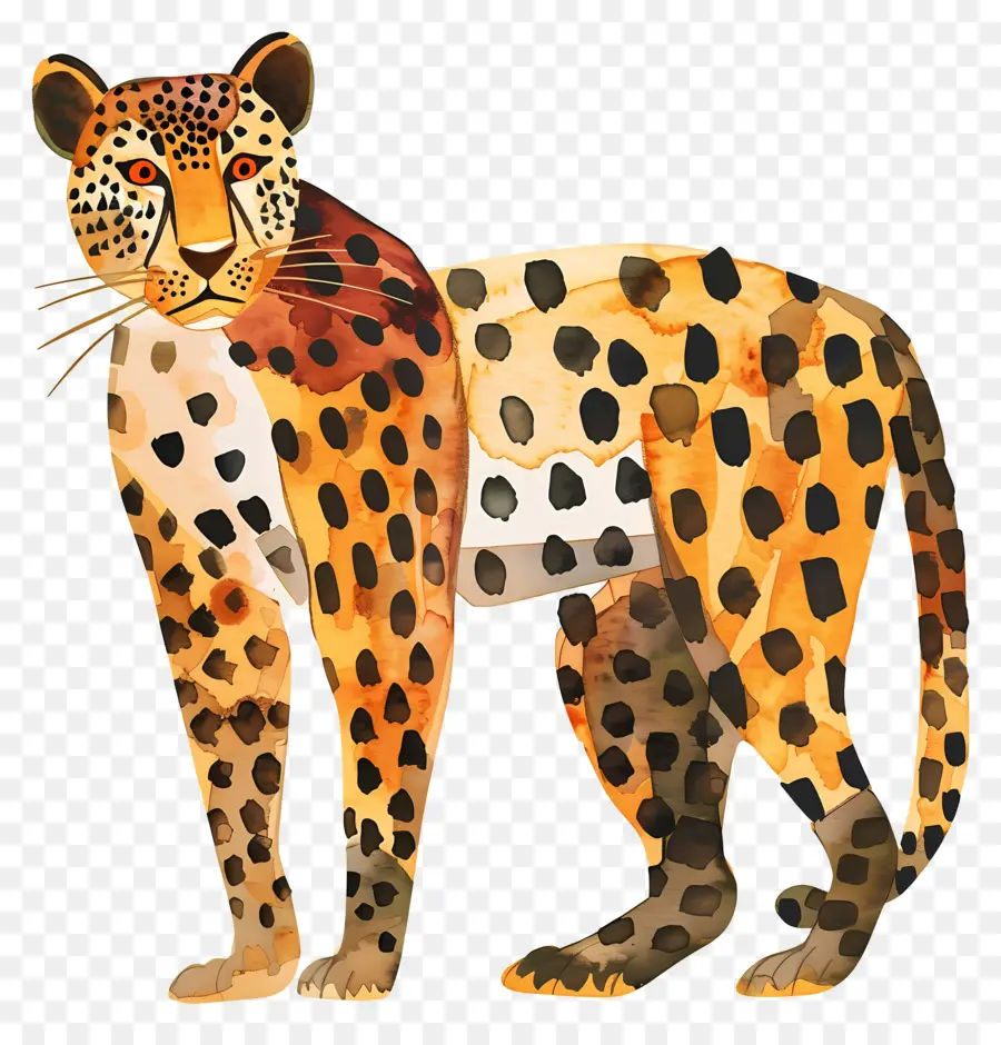 Leopard，O Gato Selvagem PNG