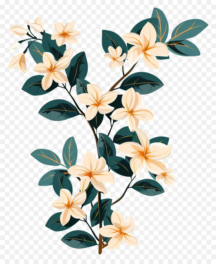 Jasmine Garland，Floral Ramo PNG