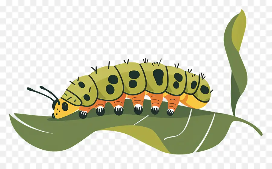 Caterpillar，Verde Caterpillar PNG