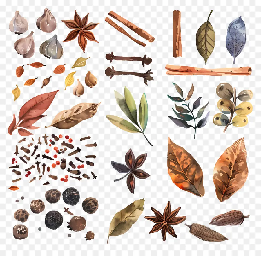 Especiarias，Herbs PNG