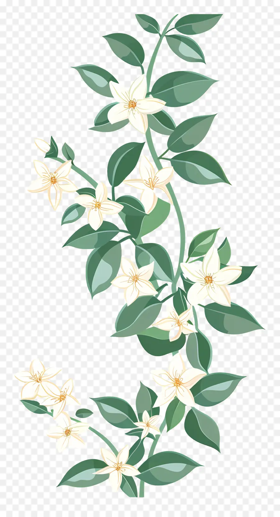 Jasmine Garland，Flores Brancas PNG