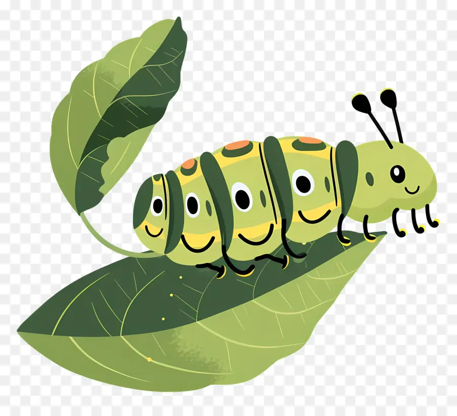 Caterpillar，Verde Caterpillar PNG