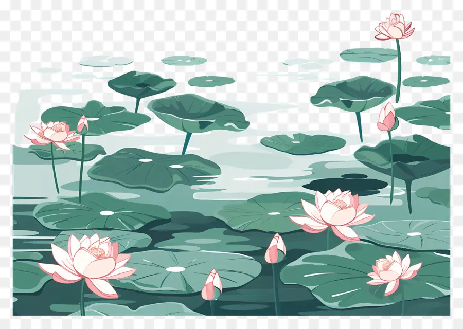 Lotus Pond，Flores De Lótus PNG