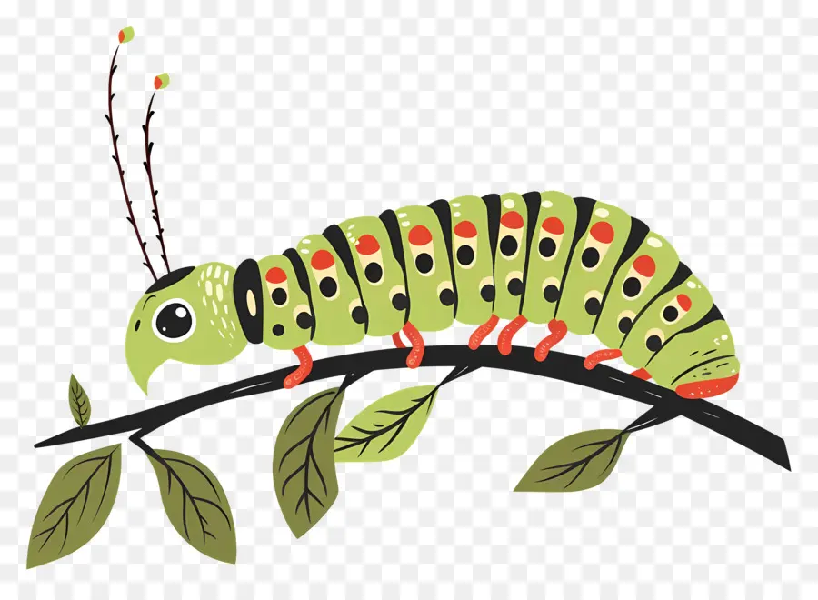 Caterpillar，Inseto PNG