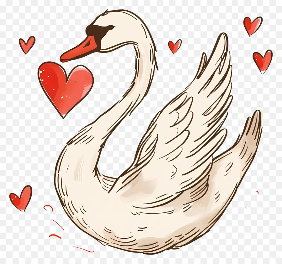 Cisne，Corações PNG