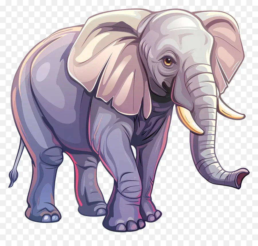 Elefante，Pele Cinza PNG