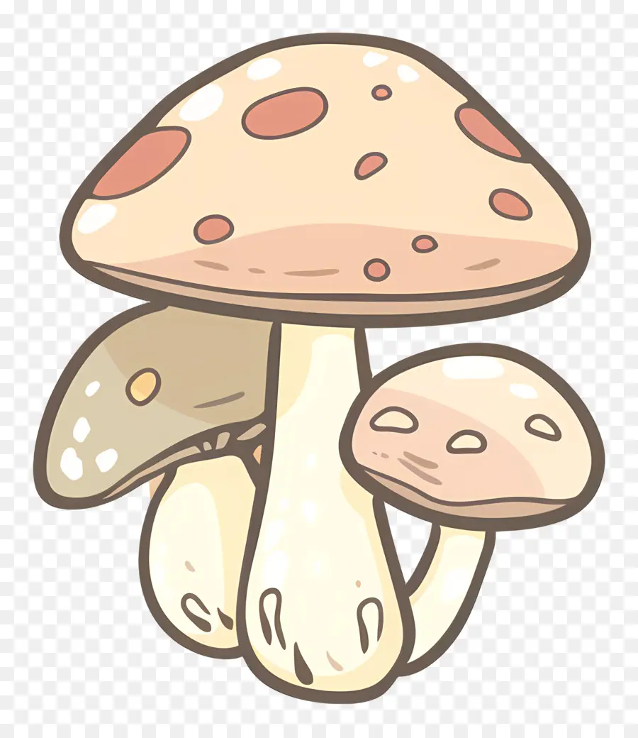 Cogumelo De Boletus，Cartoon Cogumelo PNG