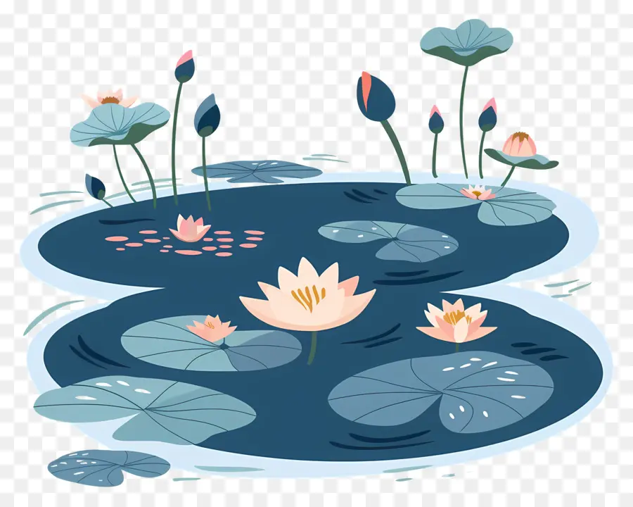 Lotus Pond，Flores De Lótus PNG