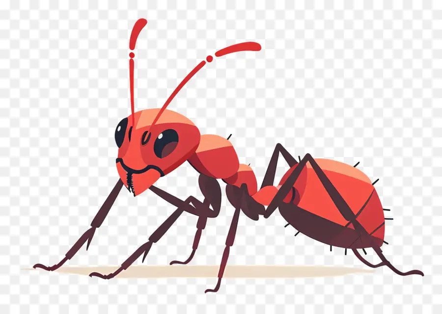 Formiga，Red Ant PNG