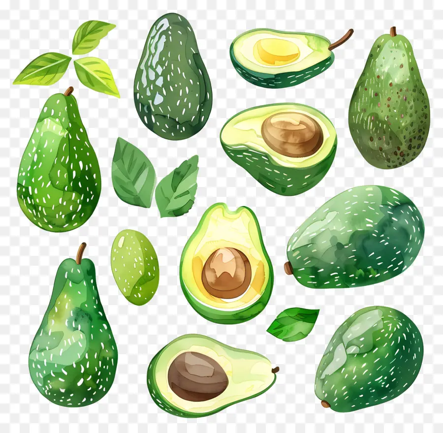 Abacate，Ripe PNG