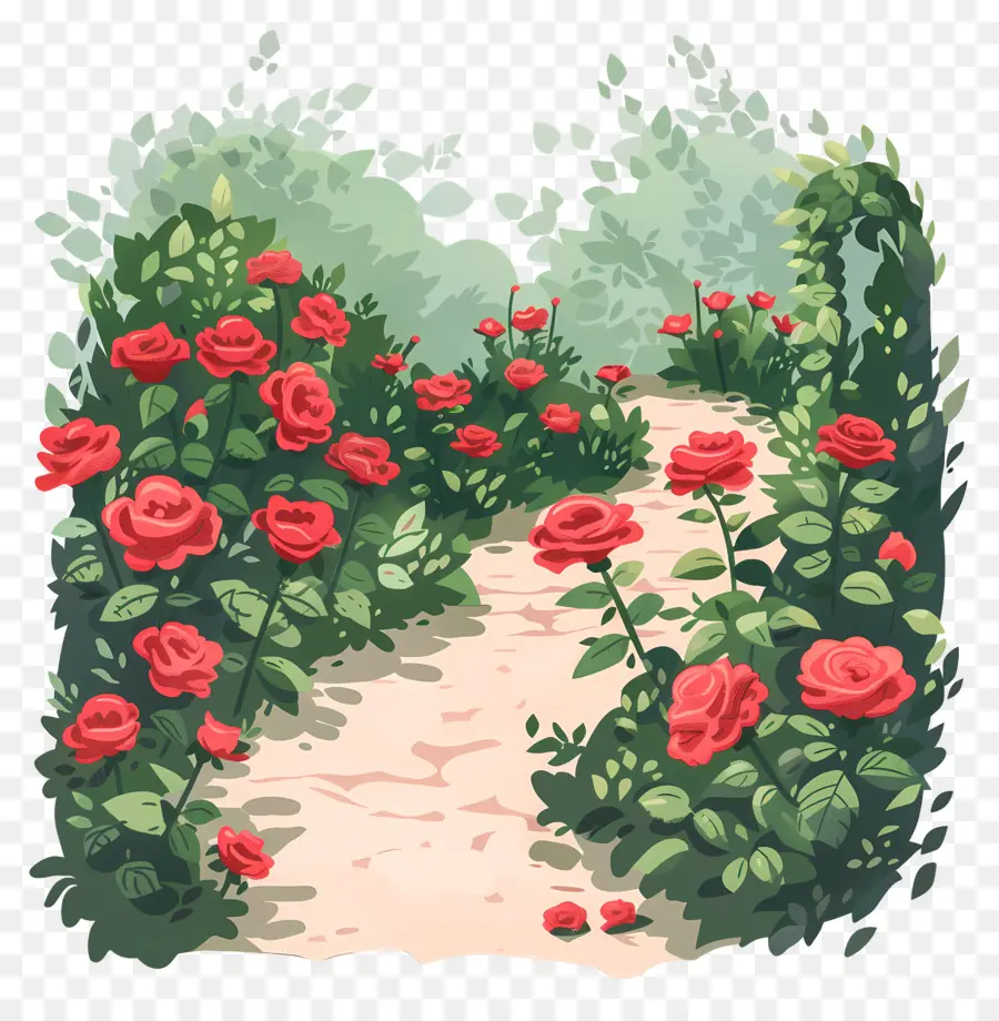 Jardim Das Rosas，Rosas Florescendo PNG