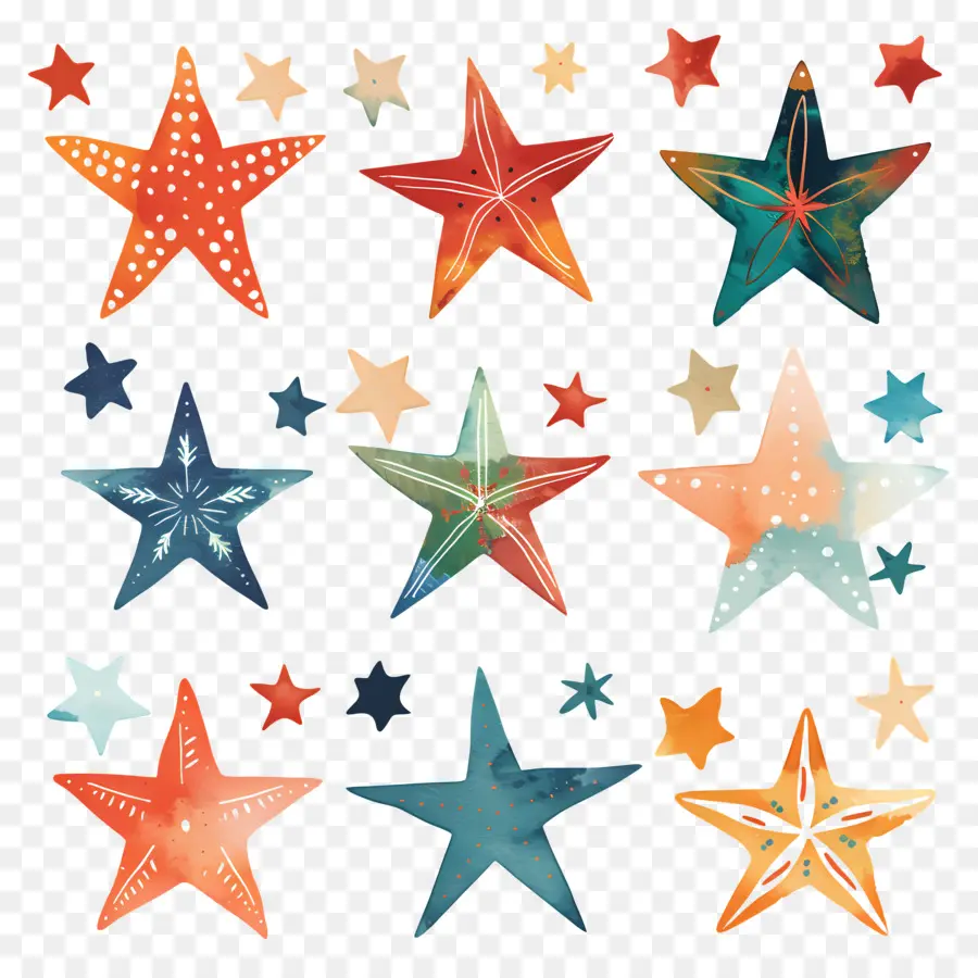 Estrelas，Estrela Do Mar PNG