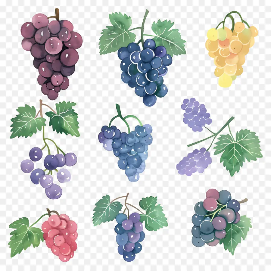 Uvas，Verde Uvas PNG