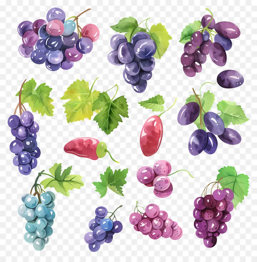 Uvas，Uvas Em Aquarela PNG