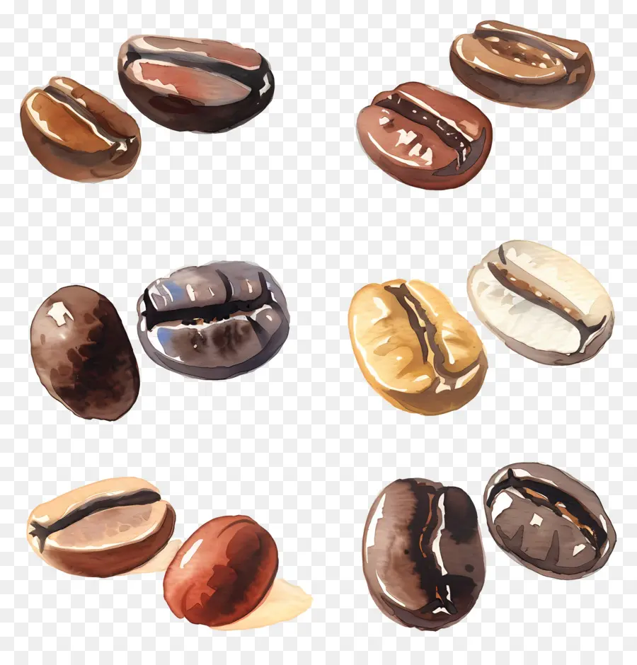 Grãos De Café，Pintura Em Aquarela PNG