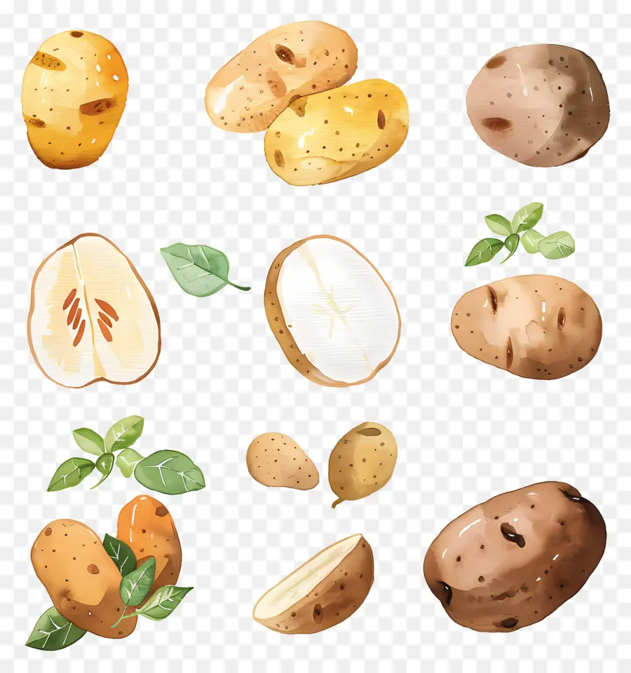 Batatas，Ripe PNG