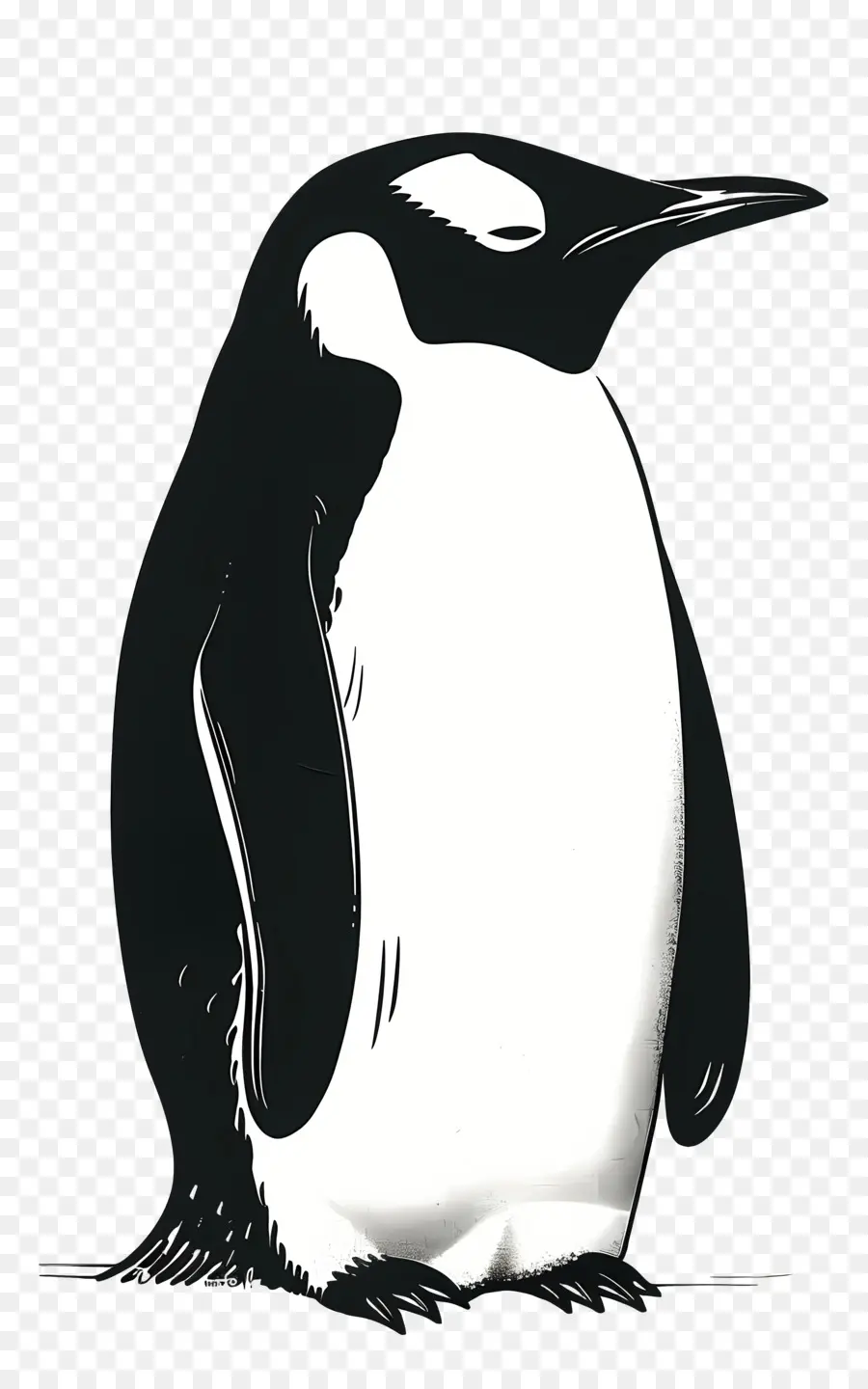 Cartoon Penguin，Penguin PNG