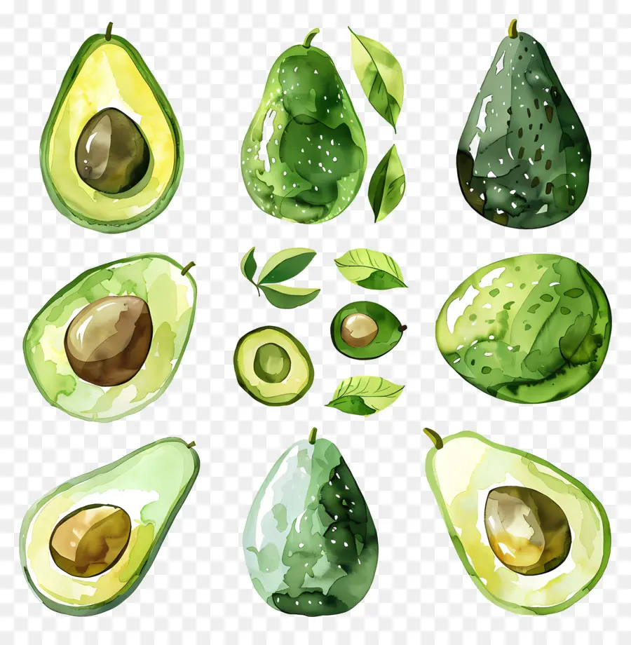 Abacate，Ripe PNG