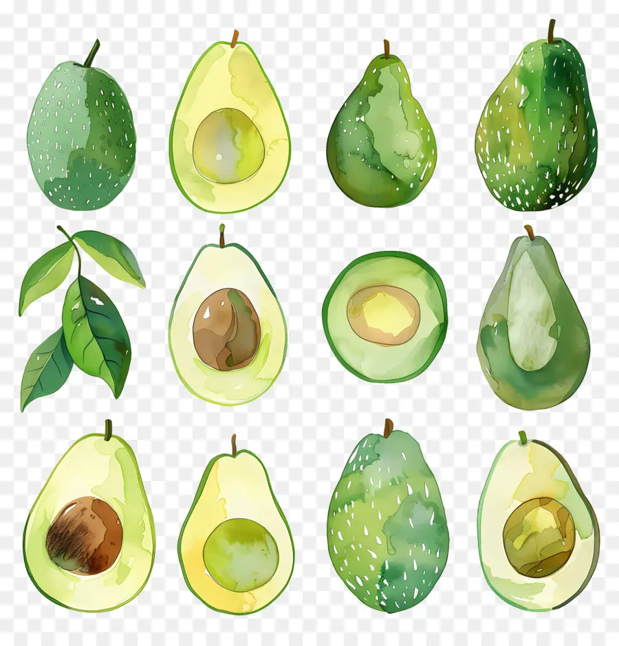 Abacate，Ripe PNG