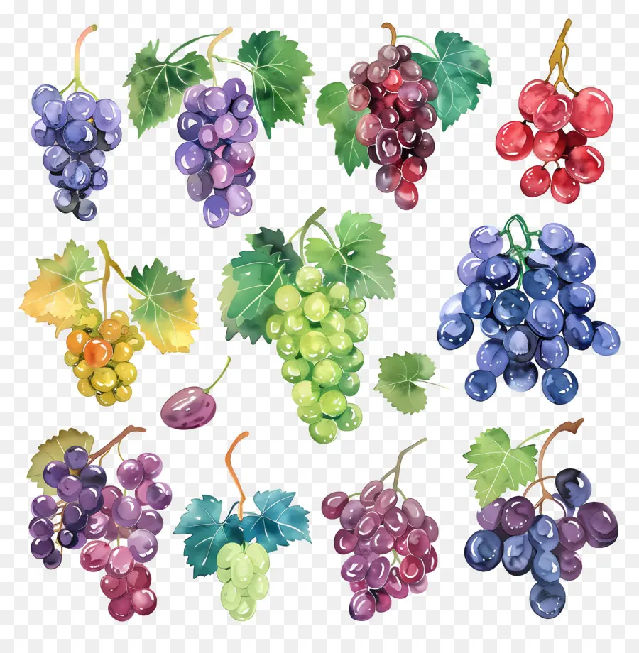 Uvas，Frutas PNG