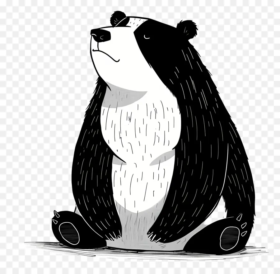 Desenho Animado Do Urso，Urso Preto PNG