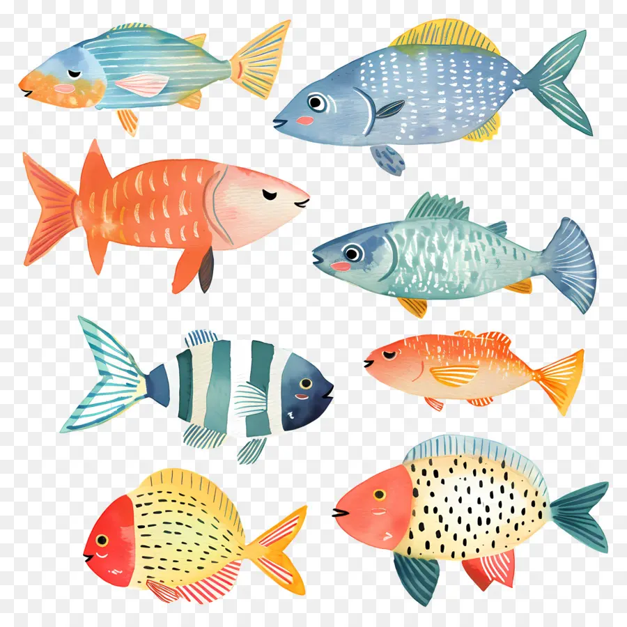 Peixe，Peixes Coloridos PNG