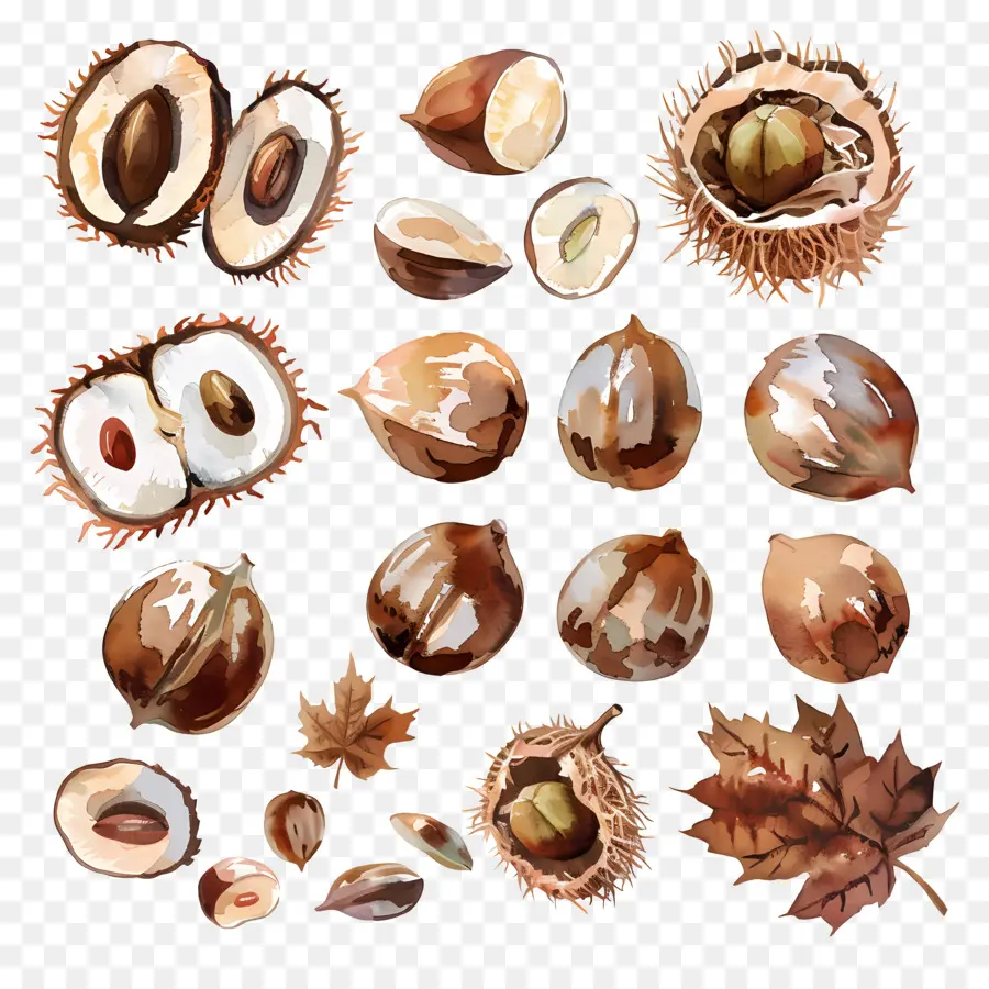 Castanhas，Concha PNG