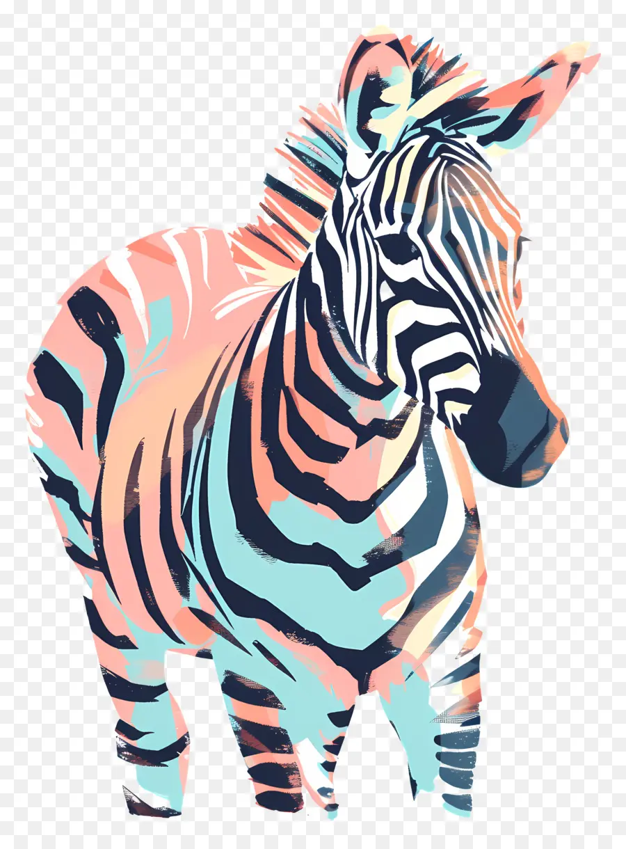 Zebra，Colorido PNG