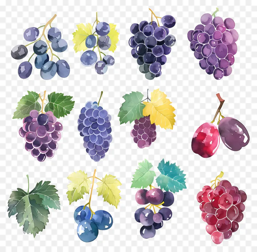 Uvas，Pintura Em Aquarela PNG