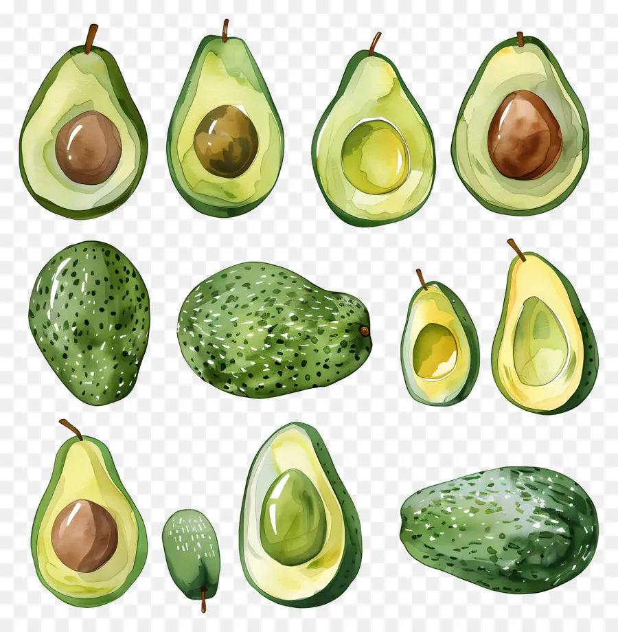 Abacate，Ripe PNG