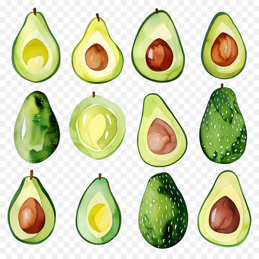 Abacate，Ripe PNG