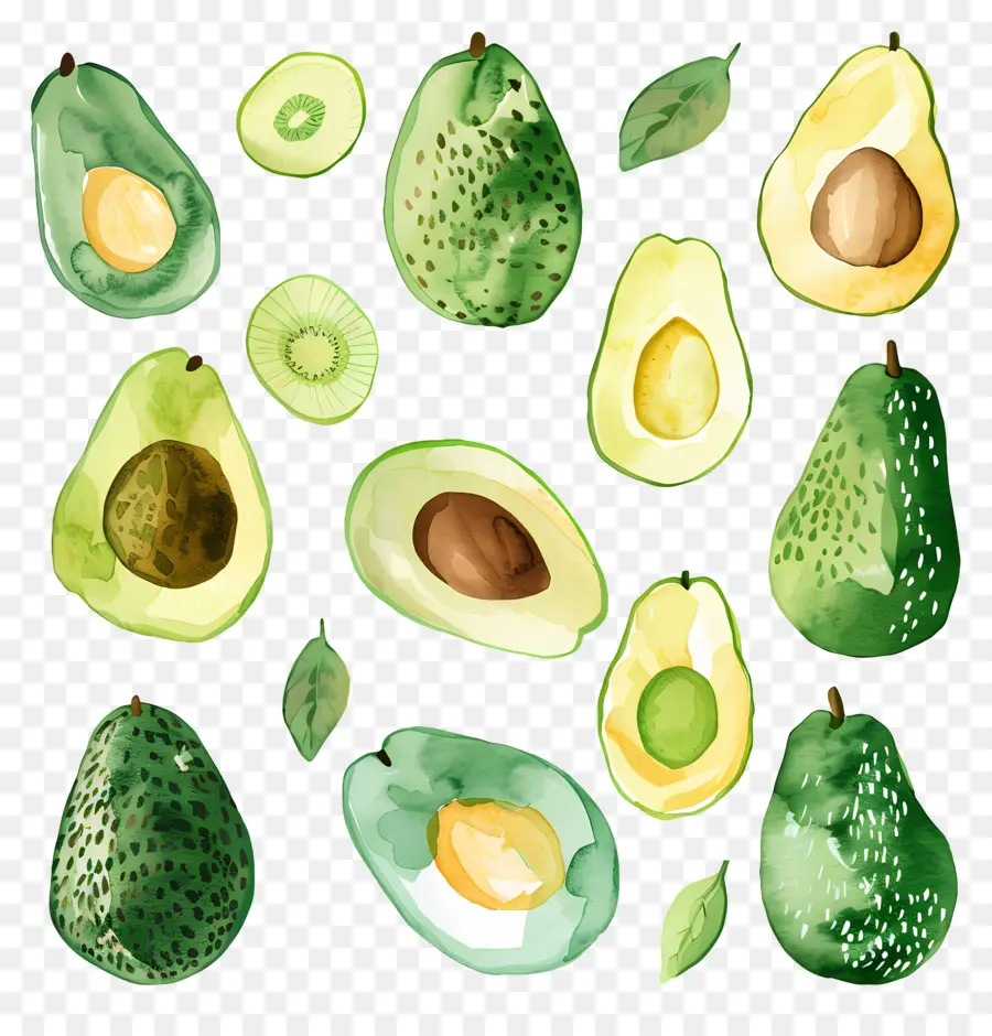 Abacate，Ripe PNG