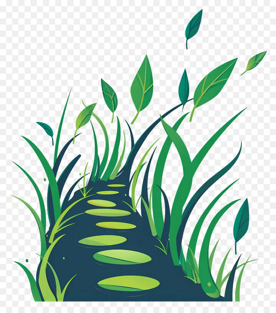 Passagem De Grama，Paisagem Verde PNG