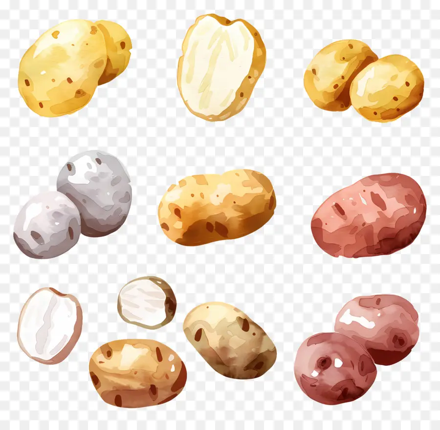 Batatas，Batata PNG