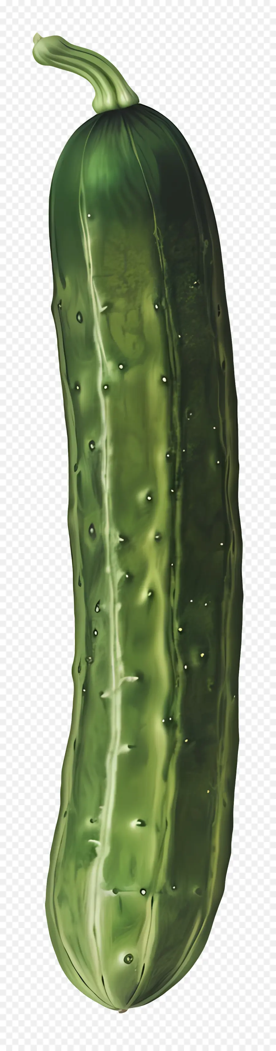 Verde Pepino，Pepino PNG