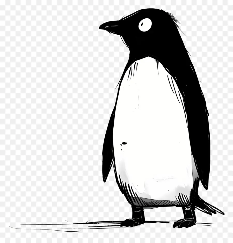 Cartoon Penguin，Pinguim De Desenhos Animados PNG