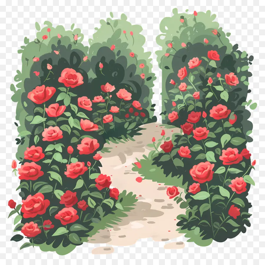 Jardim Das Rosas，Caminho De Jardim PNG