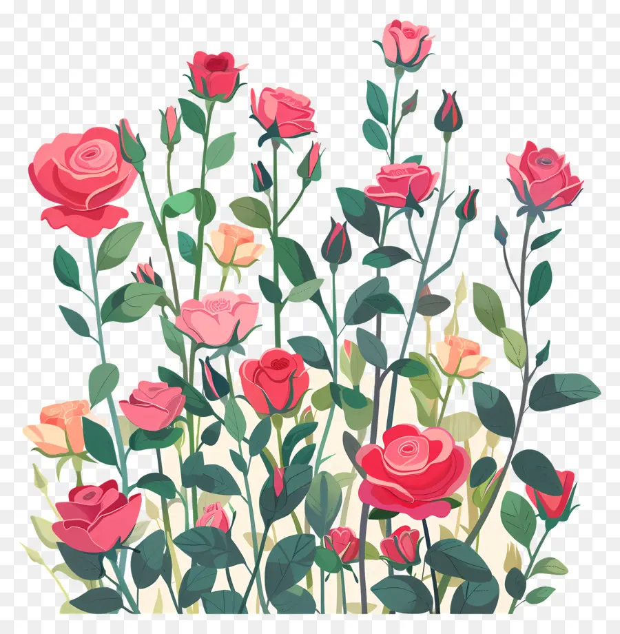 Jardim Das Rosas，Rosas PNG