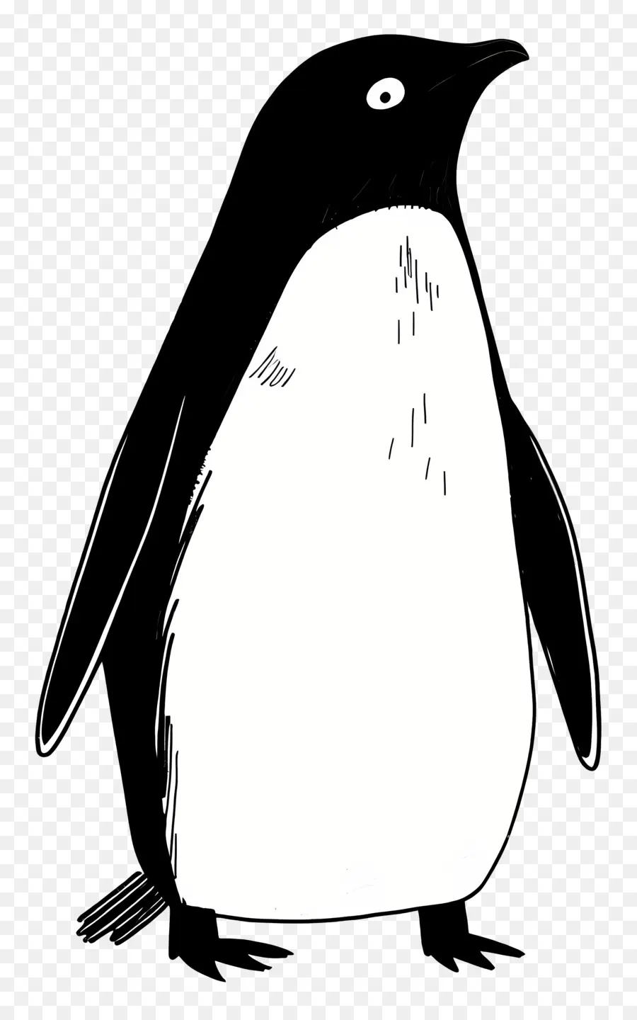 Cartoon Penguin，Penguin PNG