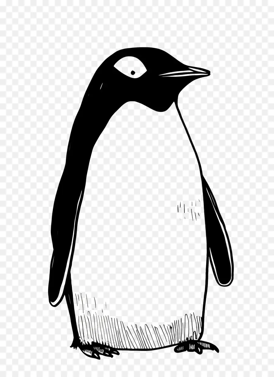 Cartoon Penguin，Penguin PNG