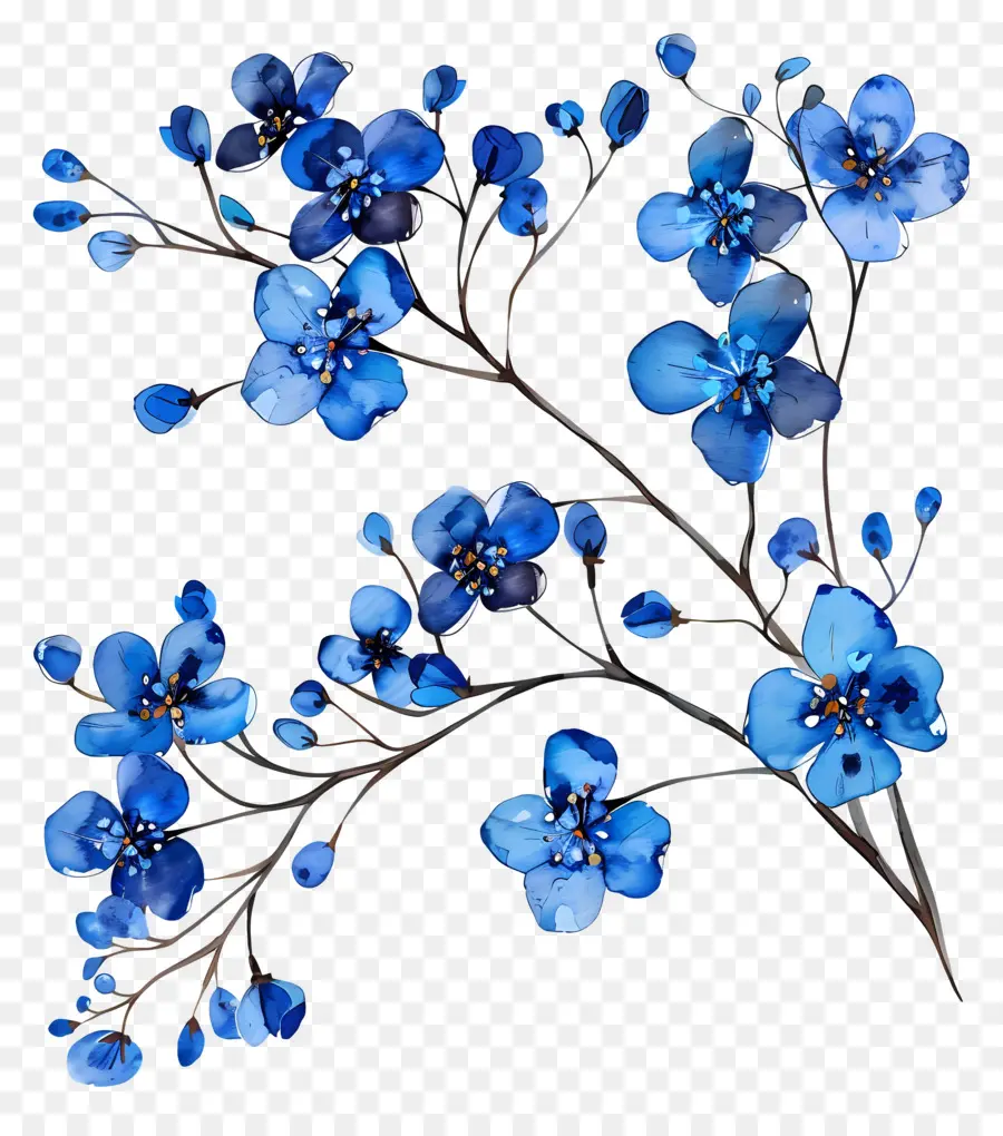 Flores Azuis，Flor Azul PNG