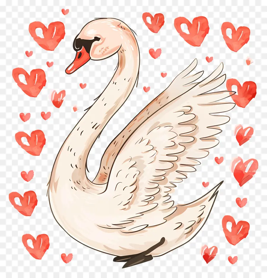 Swan，Amor PNG