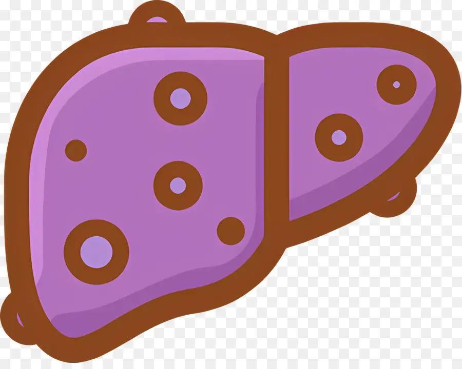 Fígado，Roxo PNG